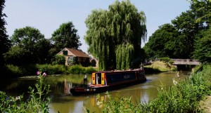 Basingstoke Canal